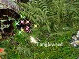 th_tangleweed2-1.jpg