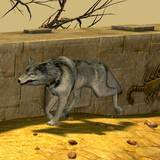 th_WA-Coyote1.jpg