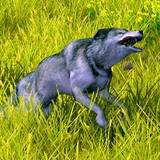 th_WA-PoachersStaghound.jpg