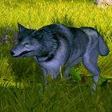 th_WA-RareSilverwolf.jpg