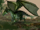 Swamp Dragon.jpg