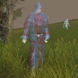 Human wraith mage d2f.jpg