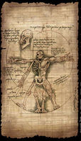 Anatomypaper1.jpg