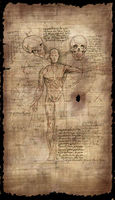 Anatomypaper2.jpg