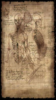 Anatomypaper3.jpg