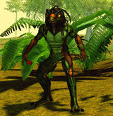 Jungle lizard hunter d2f.jpg