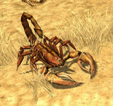 Scorpion red d2f.jpg