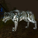 Spectral wolf d2f.jpg