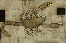 Scorpion wall.jpg