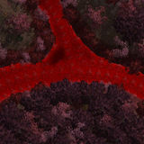 Red riv tmap.jpg