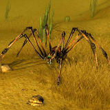 Blade Spider d2f.jpg