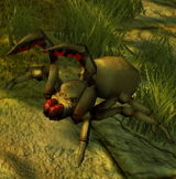 Small Spider Elite D2F.jpg